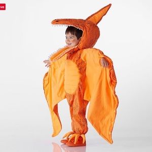 Light up pterodactyl costume